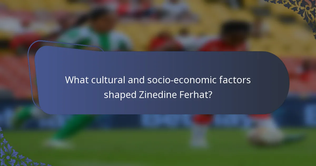What cultural and socio-economic factors shaped Zinedine Ferhat?