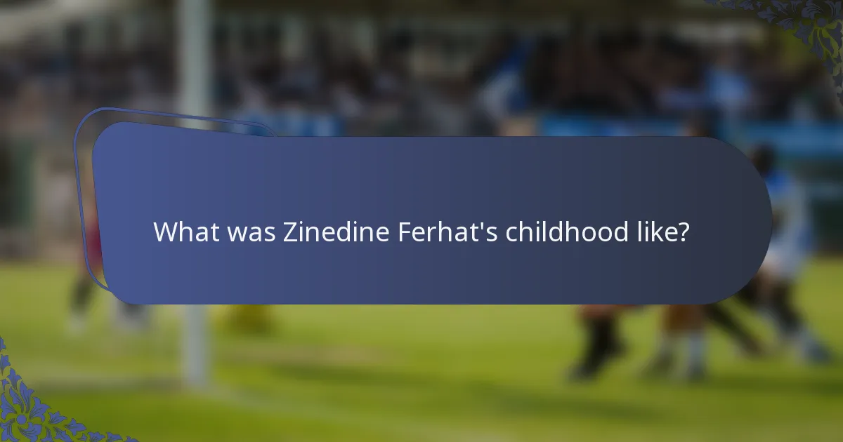 What was Zinedine Ferhat's childhood like?